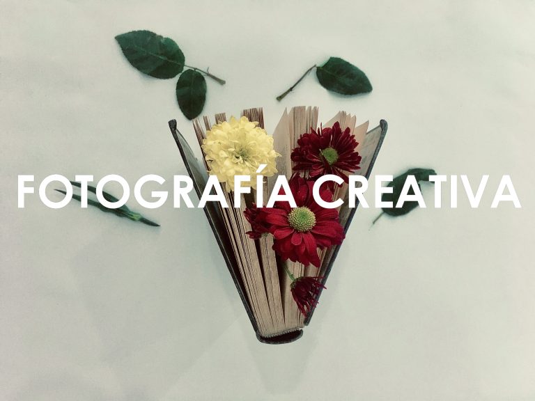 Fotografía creativa estudiantes realizan sus primeras prácticas