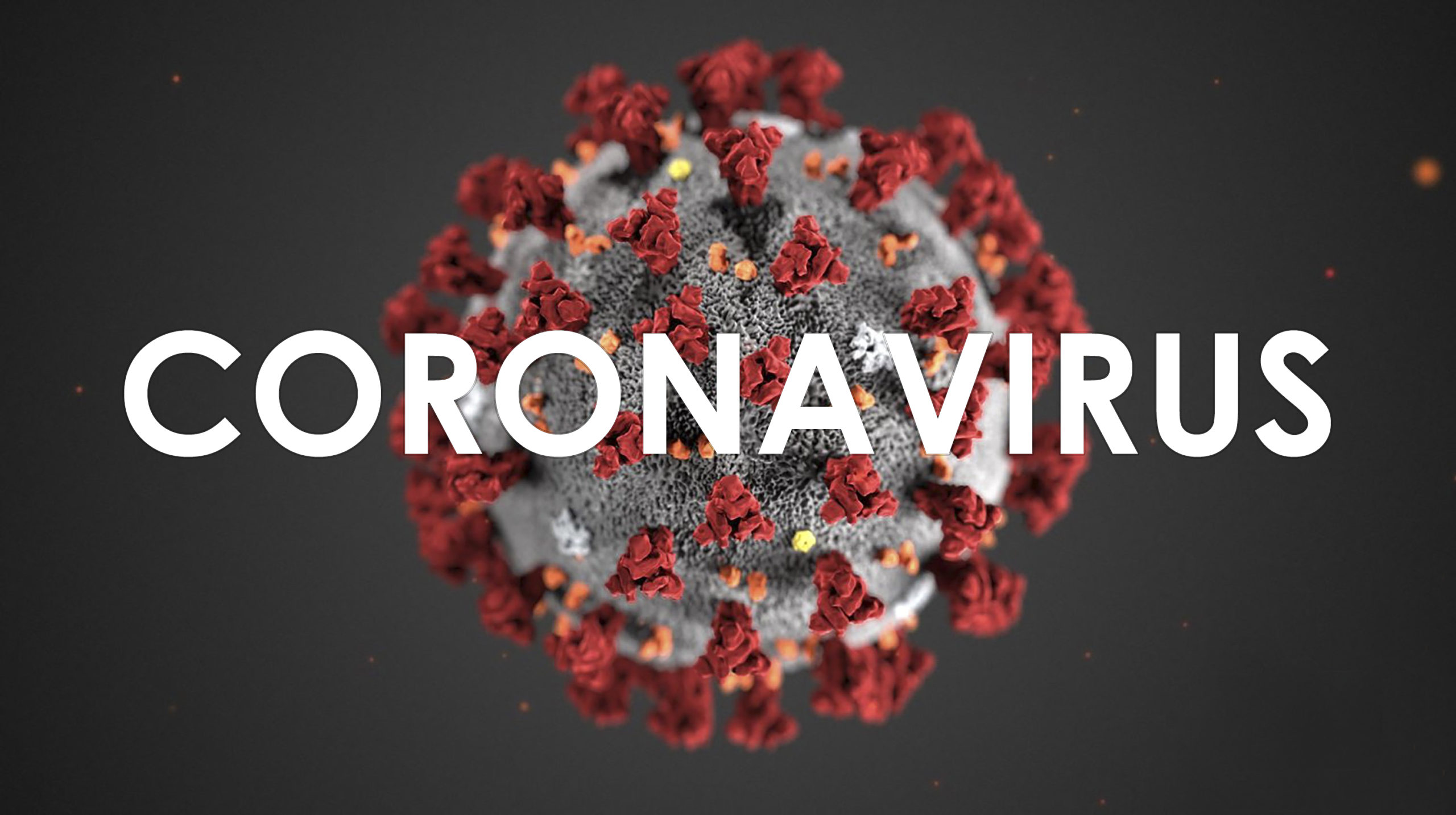 Coronavirus: todo lo que necesitas saber sobre esta peligrosa enfermedad